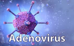 The virus of the month: Adenovirus | VIROLOGY RESEARCH SERVICES