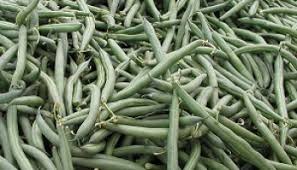 How do you cook green beans from the garden. How To Cook Fresh Green Beans How To Cook Perfect Green Beans