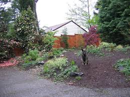 Check spelling or type a new query. Pet Friendly Gardens Hgtv