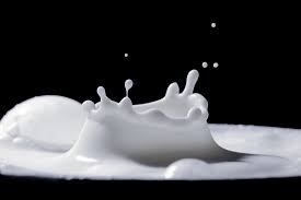 Kie katzenmutter läßt sie dann auch nicht. Wieviel Milch Nach Dem Beikostbeginn
