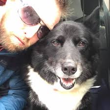 Hi all I'm looking for a team for my 10 year old, going into year 6, good  player, in pl6 area