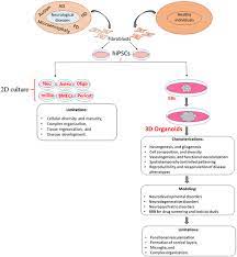 So, you will be able to use them without worry of them being blocked by astro. Frontiers Modeling Neurological Disorders In 3d Organoids Using Human Derived Pluripotent Stem Cells Cell And Developmental Biology