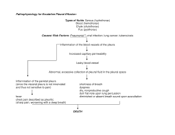 Pathophy On Exudative Pleural Efffusion