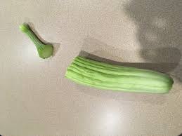 Will zucchini and cucumbers cross pollinate. Ask Extension