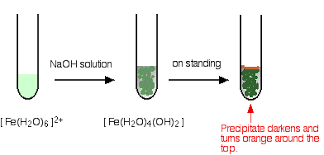 Predict the formula for oxalic acid. Chemistry Of Iron Chemistry Libretexts