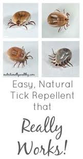 Easy Natural Tick Repellent That Really Works Naturale Oli Essenziali Rimedi