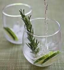 Rezept Gurke Rosmarin Gin Tonic Gin And Tonic Gin Vodka Tonic