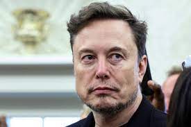 Musk's Voting Platform