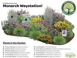 When you select the flower garden to send flowers to hartland or any other destination, your order will be handled professionally and with the utmost care by expert florists in hartland. 260 Wisconsin Native Plants Ideas Native Plants Plants Perennials