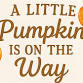 A Little Pumpkin Is On The Way Community Baby Shower event image
