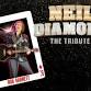 Neil Diamond - The Tribute - Woodstock Opera House, 121 W Van Buren St Event Image