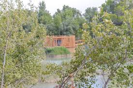 Sans eau ni électricité mais certaines avec un bain nordique privatif sur leur terrasse, elles offrent un doux mélange entre vie sauvage et confort pour une déconnexion à 100% ! Reservation Cabane Sur L Eau En Vaucluse Cabane Spa Aquarelle