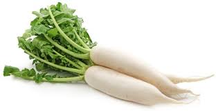 Lobak putih atau dalam bahasa inggeris dipanggil radish mengandungi banyak khasiat tapi orang melayu jarang makan lobak putih ni.kalau saya pergi ke pasar untuk beli lobak putih, kebanyakan pembeli adalah terdiri daripada orang cina.ini memang favourite mereka.tak hairanlah apabila saya. Resipi Lobak Putih Ini Boleh Tambah Susu Ibu Ketahui 16 Sayur Herba Boleh Tambah Susu Masa Berpantang Info Dan Tip Kesihatan