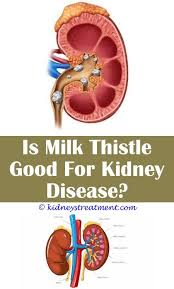 Pin On Chronic Kidney Disease
