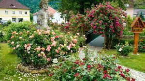 15:00 uhr natur im garten moderation: Natur Im Garten 10 10 Ein Duftrosengarten In Der Buckligen Welt 3sat Mediathek