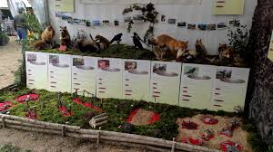 Pour tous les habitants qui apprécient au quotidien le mot du président. Galerie De Photos Apal 45