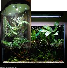Thoughts Plans And Questions For A Riparium Aquarium Terrarium Combo Fish Tank Terrarium Aquarium How To Make Terrariums