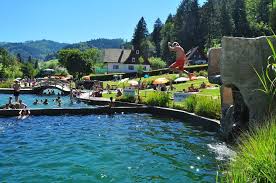 Piscine Naturelle Ottenhofen Piscine En Plein Air Foret Noire Actif