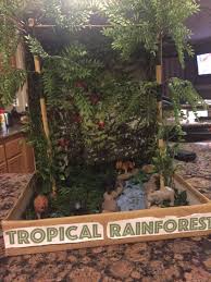 Biome In A Box Tropical Rainforest Tropical Rainforest Biome Project Ideas Biomes Project Ecosystems Projects Rainforest Biome