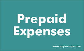Well insured in the netherlands. Prepaid Expense Examples Accounting Entries Waytosimple