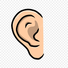 ear – tai