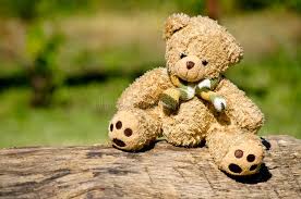 Teddies are just another reason, just another way to say i care, i will be there forever, no matter the good and bad. 96 591 Teddy Bear Photos Free Royalty Free Stock Photos From Dreamstime