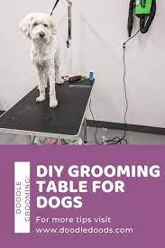 Diy Dog Grooming Table How To Build Your Own 4 Projects Dog Grooming Diy Dog Stuff Dog Grooming Diy