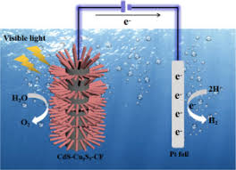 Cactus live is the how green was my cactus radio series on stage. Facile Synthesis Of Cactus Shaped Cds Cu9s5 Heterostructure On Copper Foam With Enhanced Photoelectrochemical Performance Sciencedirect