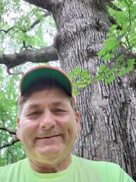 What is the age of this large tree near Royalview?