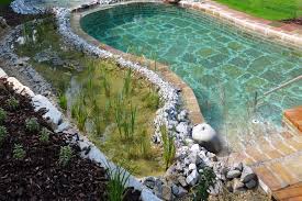 Schwimmteiche Gartengestaltung Zangl Schwimmteich Garten Naturschwimmbecken