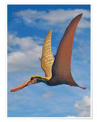Anurognathus was first named and described by ludwig döderlein in 1923. Sergey Krasovskiy Cearadactylus Ein Grosser Pterosaurus Der Kreidezeit Poster Online Bestellen Posterlounge De