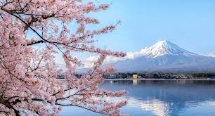 For over 1000 years the capital of japan. Japan Country Profile Career Advice Jobs Ac Uk
