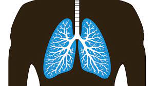 Lungenleiden Nicht Jeder Husten Ist Gleich Asthma Medizin Ernahrung Faz