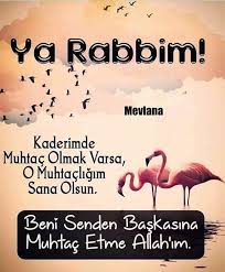 Ahiret Allahuekber Amin Ayet Cehennem Cennet Corekotuyagi Dunya Elhamdulillah Ezan Follow Hadis Hak Hikayeler Islam Allah Islam Home Decor Decals