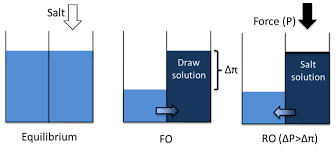 Solution or across a semipermeable membrane. Processes Free Full Text Forward Osmosis A Critical Review Html