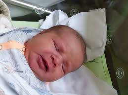 FOTOGALERIE: Právě jsme se narodili