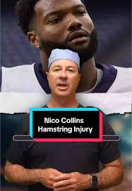 Nico Collins’ season has been cut short due to a hamstring injury. The  Houston Texans star wide receiver has been placed