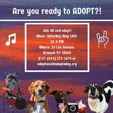 Check spelling or type a new query. Adopt A Dog Adoptadoginc Twitter