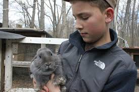 Bristol Teen is Selling Bunnies for Easter Weekend
