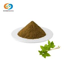 ຈີນຕົວຢ່າງຟຣີ Ivy Leaf Extract ຜູ້ຜະລິດໂຮງງານຜະລິດ - ຊື້ໃນຈໍານວນຫລາຍ -  Rebecca