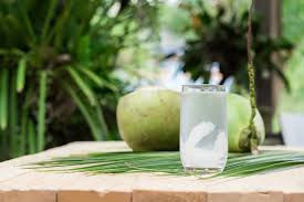 Air kelapa hanya mengandung sedikit air kelapa tidak hanya berisi air, tetapi juga mengandung nutrisi. Bolehkah Anda Minum Air Kelapa Apabila Perut Anda Kosong Tarahap