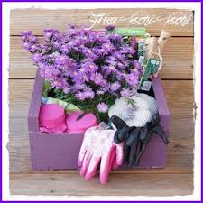 Frau Tschi Tschi Geschenkkorb Fur Gartenliebhaber Geschenkkorb Gutschein Verpacken Garten Geschenke