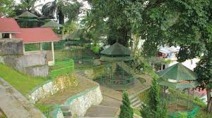 Melakukan penurunan harga tiket masuk serta tidak. Taman Margasatwa Dan Budaya Kinantan Tribunnewswiki Com Mobile