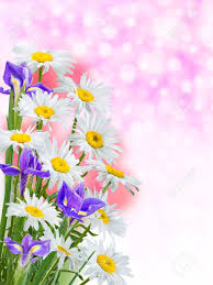 If i had a single flower for every time i think about you, i could walk forever in my garden. Nature Background With Lovely Flowers Stock Photo Picture And Royalty Free Image Image 35027563
