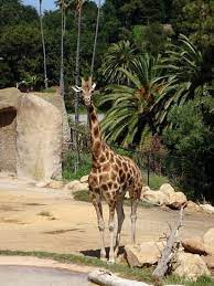 Jun 21 2009 Santa Barbara United States Travel Blog Santa Barbara Zoo California Vacation Explore California