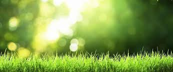 Each of our plans begins with a lawn evaluation by one of our certified turf managers. Lawn Care Calendar For Cool Season Lawns