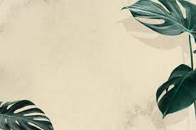Beige floral wallpaper, background, desk, texture, pattern, backgrounds. 750 Beige Pictures Hd Download Free Images On Unsplash