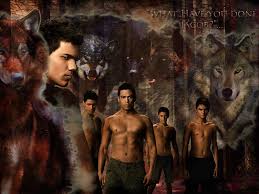 Twilight Jacob Wolf Wallpaper Wolf Wallpaper 50+ twilight wolf wallpaper on wallpapersafari.