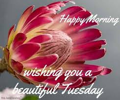 Good morning and happy tuesday! 116 Lovely Good Morning Tuesday Images Wishes And Pictures