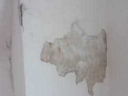 Maybe you would like to learn more about one of these? Free Download Walls How Can I Tell If I Have Rock Or Wood Lath Plaster And Is 640x480 For Your Desktop Mobile Tablet Explore 50 Drywall Over Wallpaper Drywall